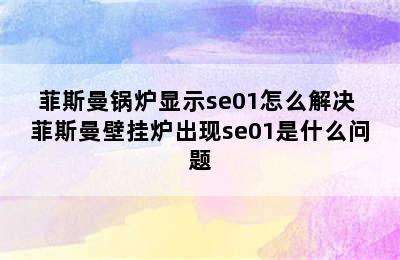 菲斯曼锅炉显示se01怎么解决 菲斯曼壁挂炉出现se01是什么问题